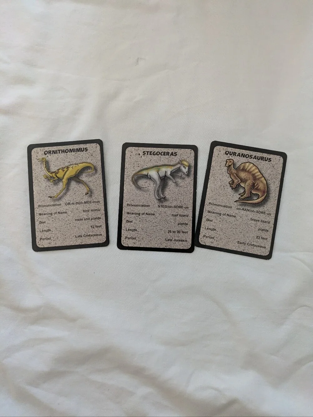 Land Of The Dinosaurs Jigsaw Puzzle + Fun Fact Cards